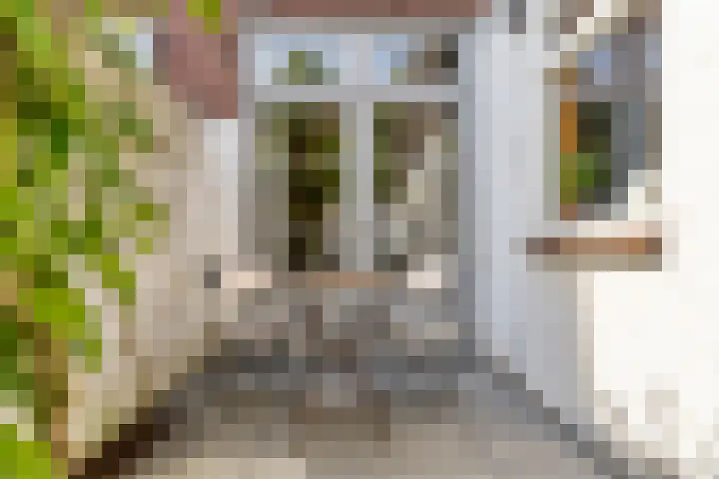Zuidoosterfront 67 's-Hertogenbosch thumbnail 17