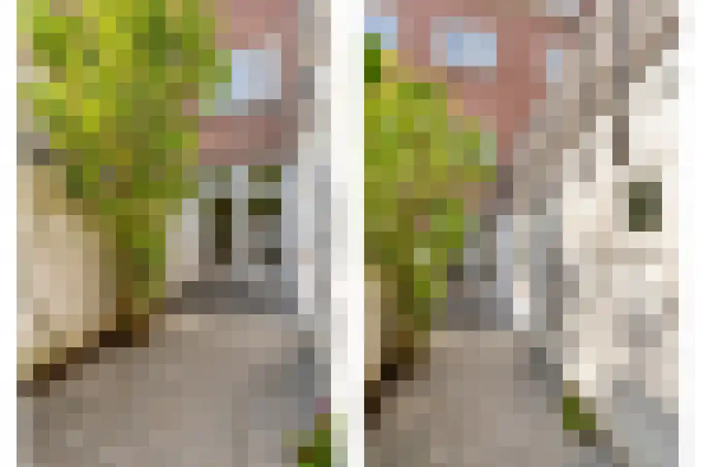 Zuidoosterfront 67 's-Hertogenbosch thumbnail 19