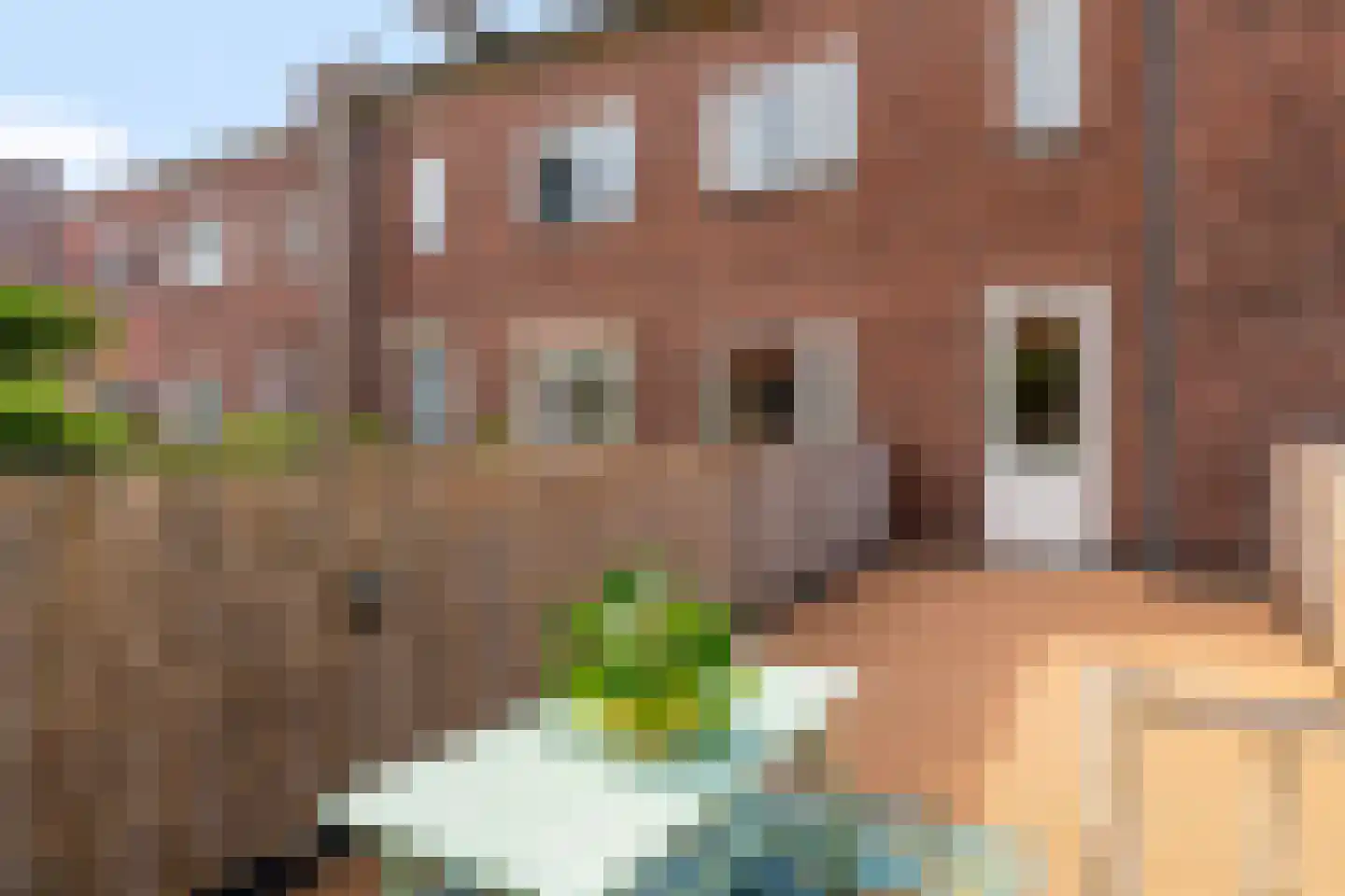 Zuidoosterfront 67 's-Hertogenbosch thumbnail 26