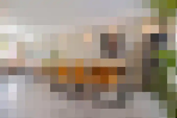 Zuidoosterfront 98 's-Hertogenbosch thumbnail 11