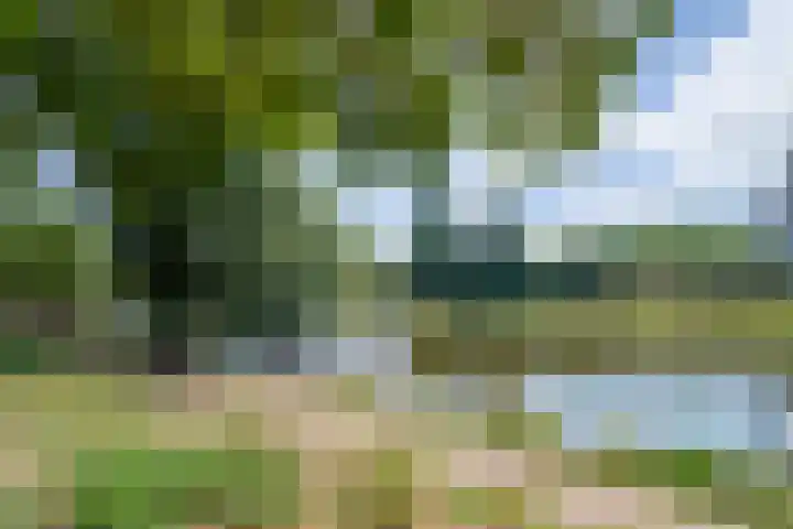 Zuidoosterfront 98 's-Hertogenbosch thumbnail 34