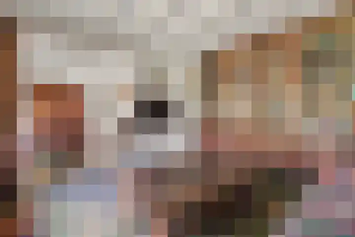 Zuidoosterlaan 3 Vught thumbnail 10