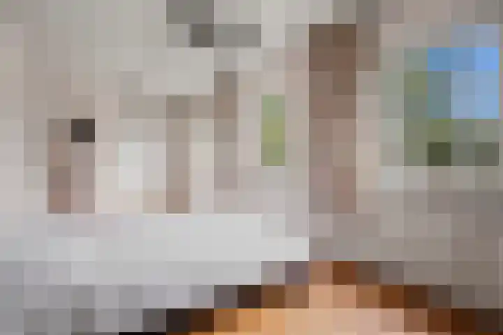 Zuidoosterlaan 3 Vught thumbnail 21