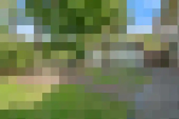 Zuidoosterlaan 3 Vught thumbnail 33