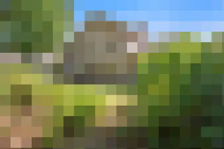 Zuidoosterlaan 3 Vught thumbnail 35
