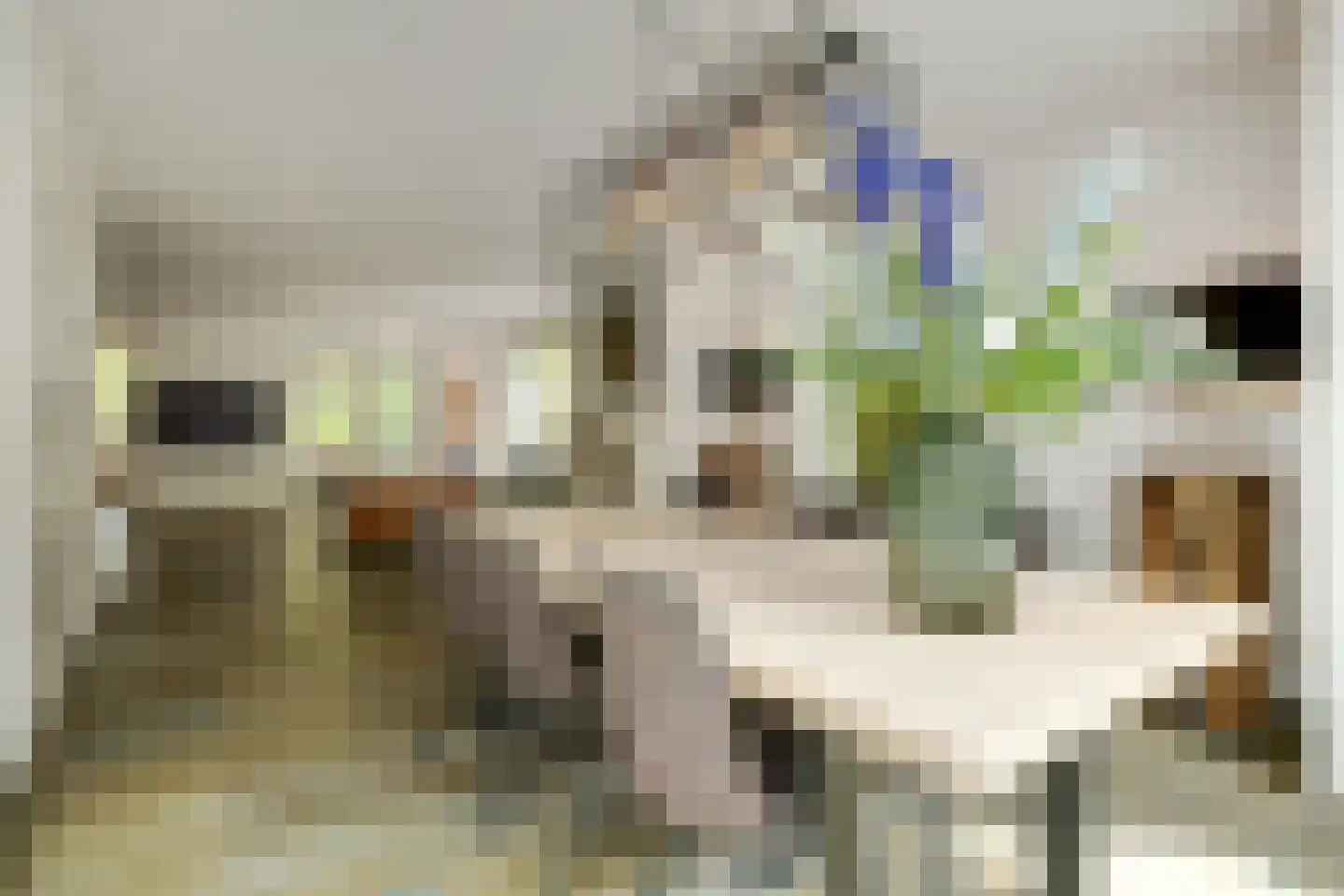 Zuidoosterlaan 6 A Vught thumbnail 26