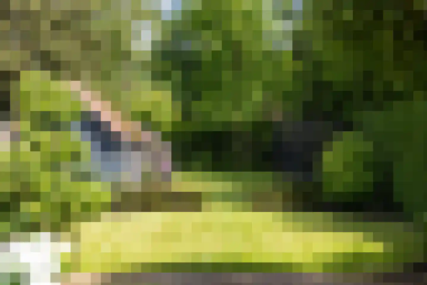 Zuidoosterlaan 6 A Vught thumbnail 33
