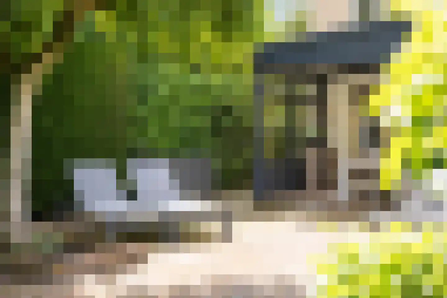 Zuidoosterlaan 6 A Vught thumbnail 34