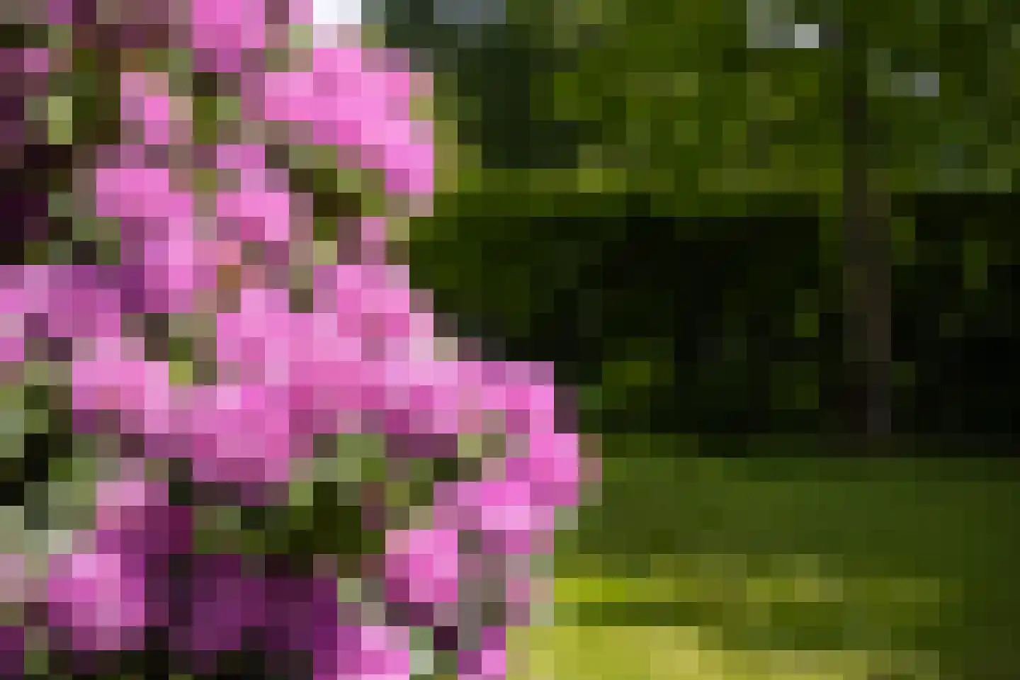 Zuidoosterlaan 6 A Vught thumbnail 35