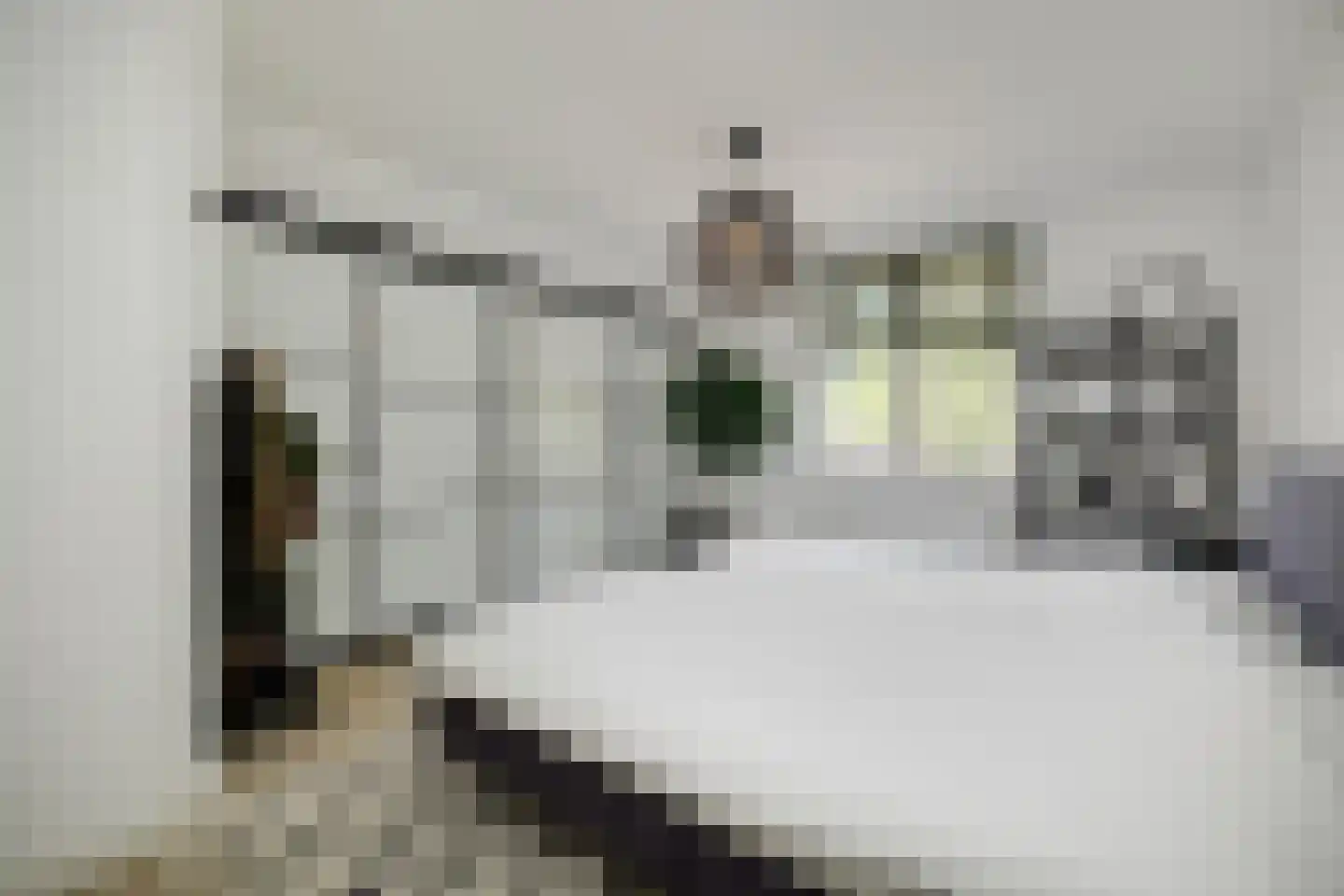 Zuidoosterlaan 6 A Vught thumbnail 4