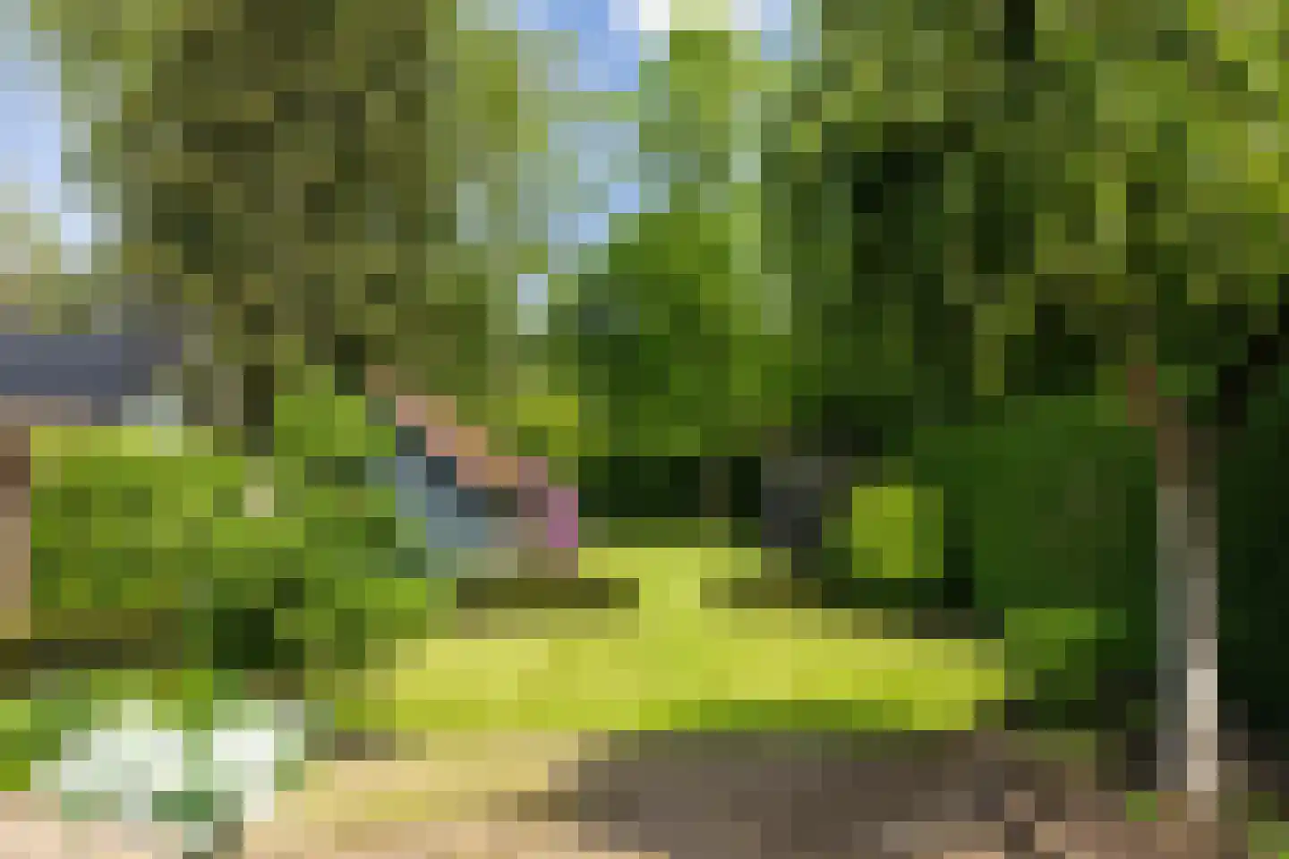 Zuidoosterlaan 6 A Vught thumbnail 41
