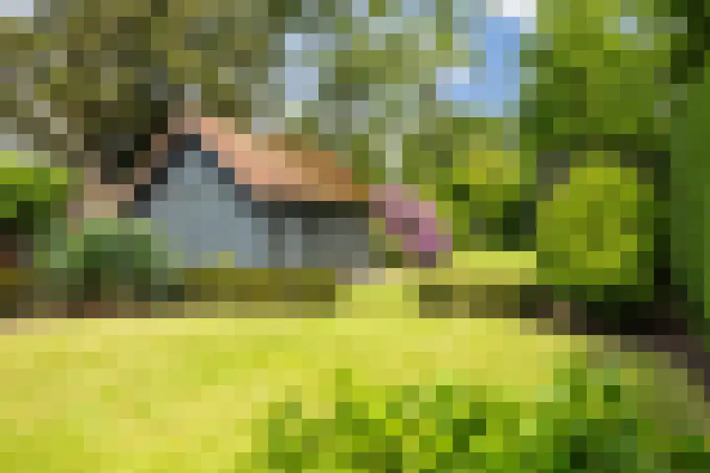 Zuidoosterlaan 6 A Vught thumbnail 48