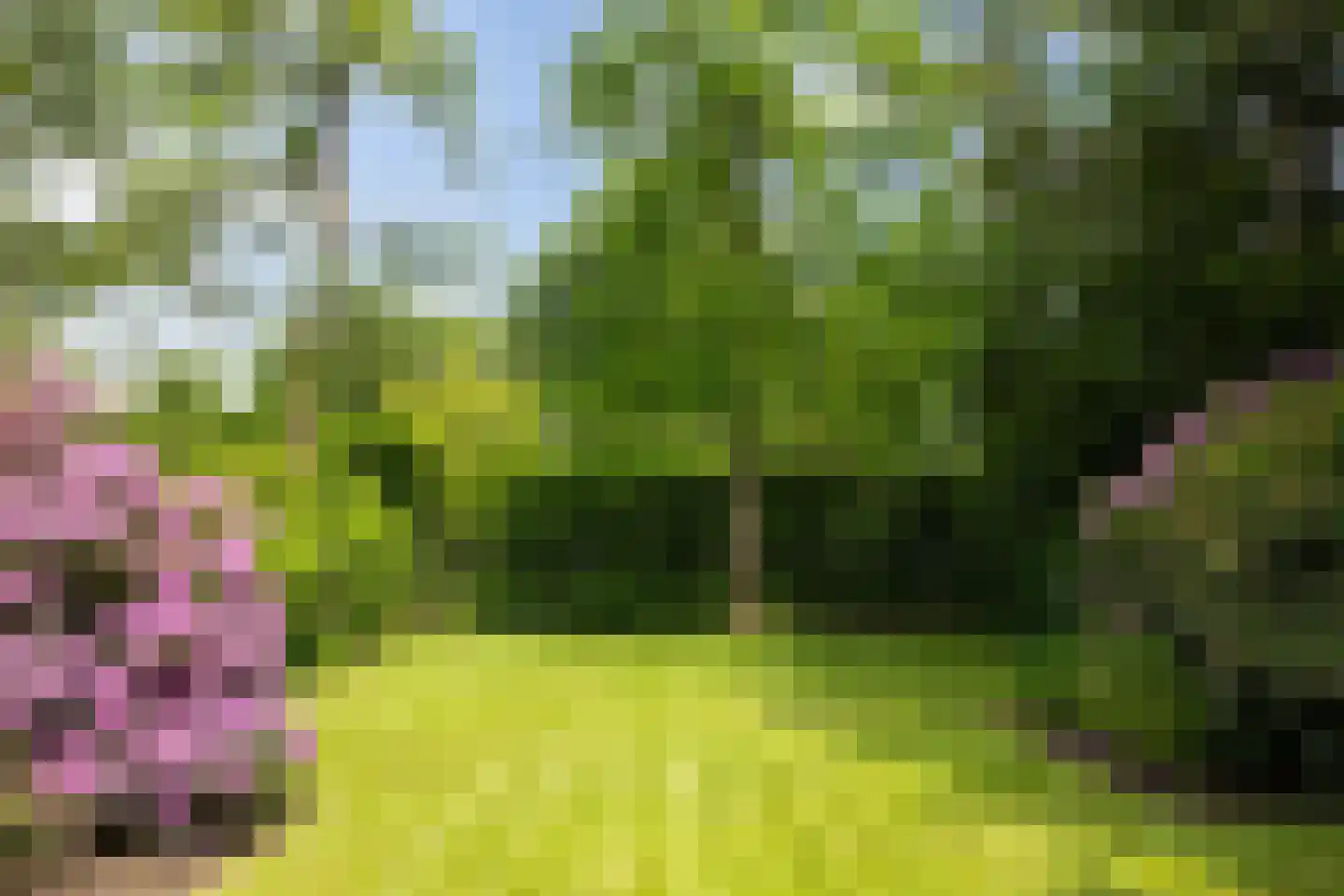 Zuidoosterlaan 6 A Vught thumbnail 49