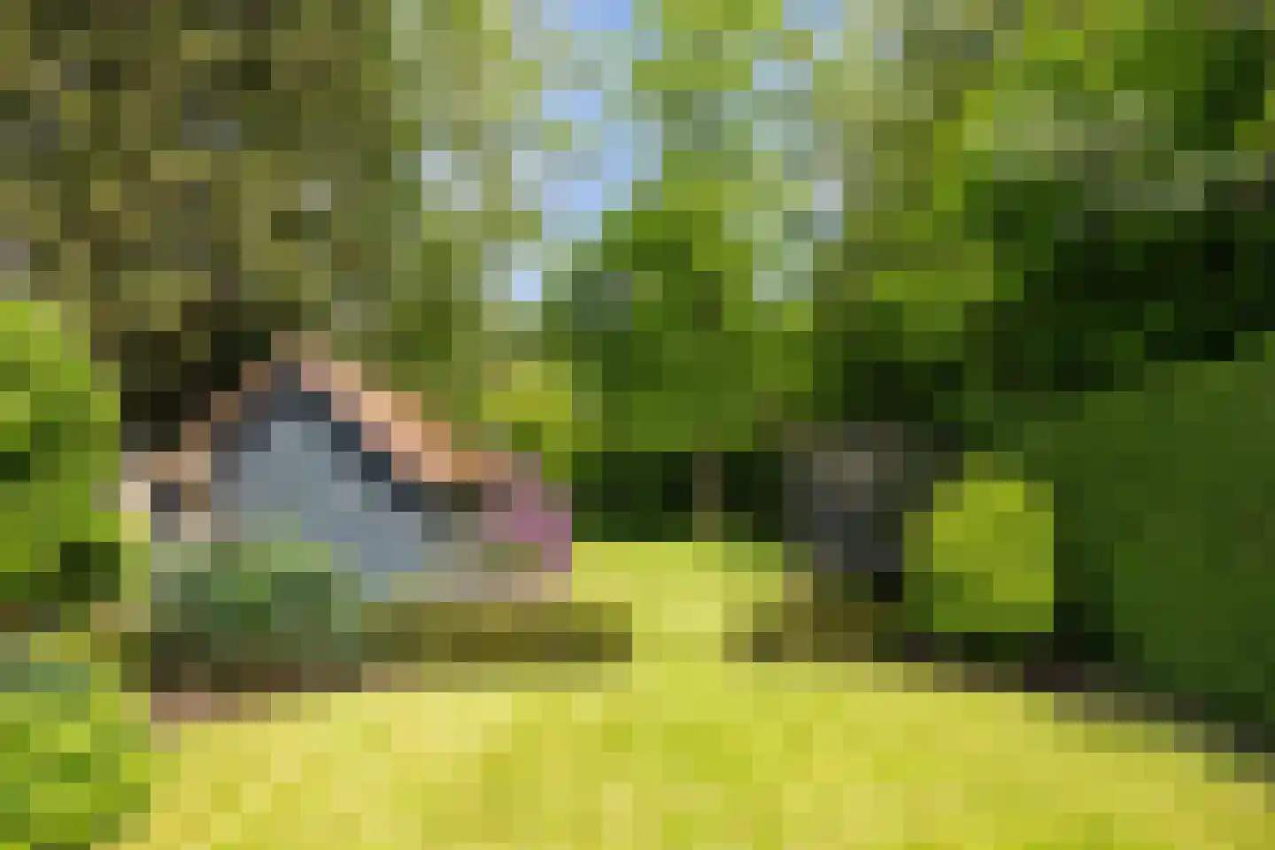 Zuidoosterlaan 6 A Vught thumbnail 5