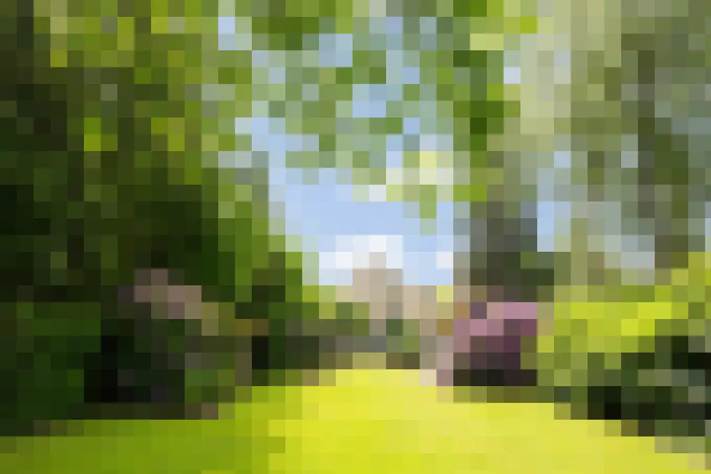 Zuidoosterlaan 6 A Vught thumbnail 51