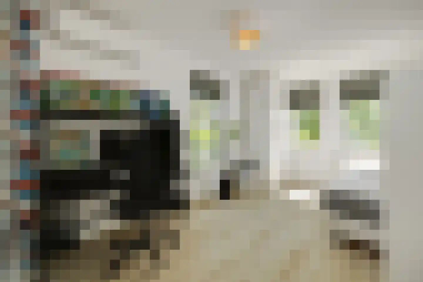 Zuidoosterlaan 6 A Vught thumbnail 57