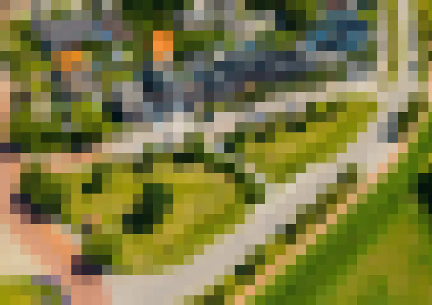 Zuidplantsoen 11 Poortvliet thumbnail 61