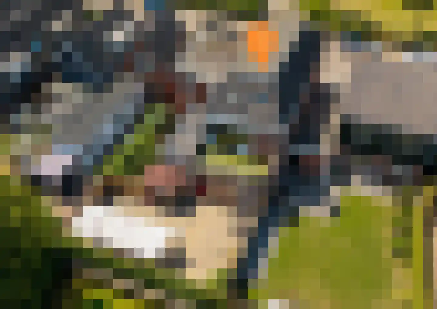 Zuidplantsoen 11 Poortvliet thumbnail 64