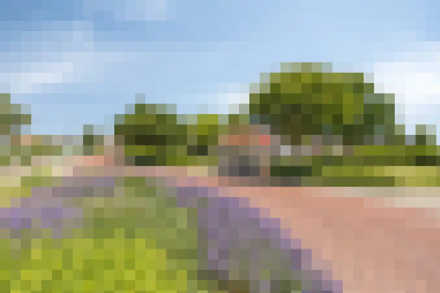 Zuidplantsoen 11 Poortvliet thumbnail 67