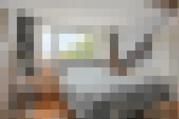 Zuidplaslaan 129 Waddinxveen thumbnail 32