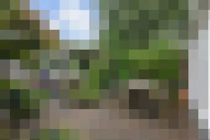 Zuidplaslaan 129 Waddinxveen thumbnail 38