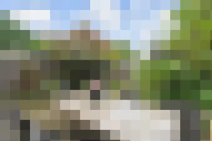 Zuidplaslaan 129 Waddinxveen thumbnail 39
