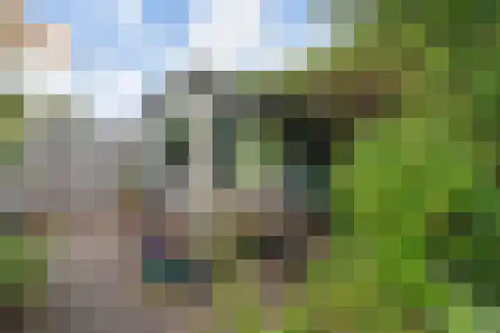Zuidplaslaan 129 Waddinxveen thumbnail 40