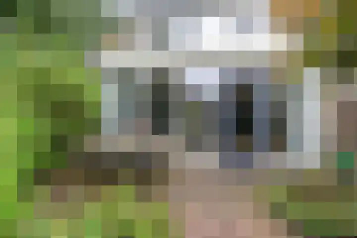 Zuidplaslaan 129 Waddinxveen thumbnail 45