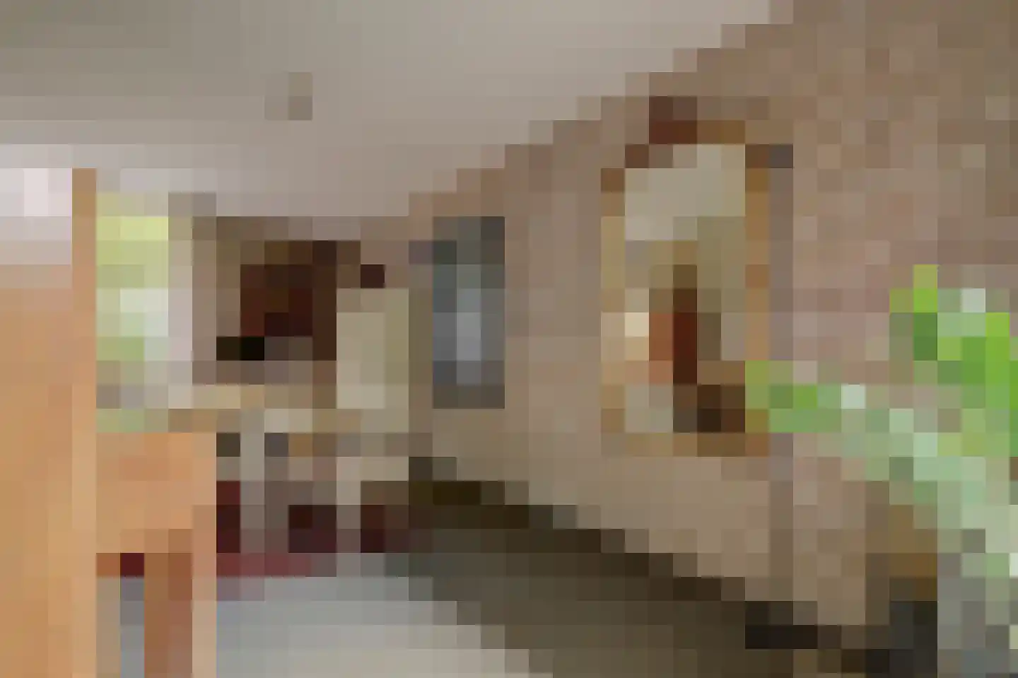 Zuidplaslaan 132 Waddinxveen thumbnail 17