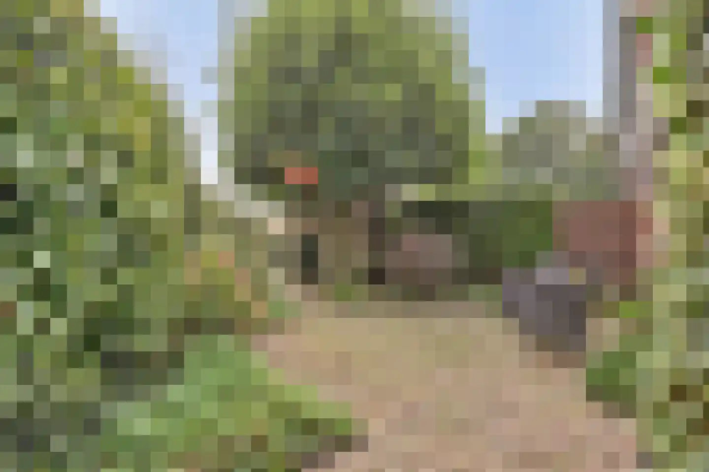 Zuidplaslaan 132 Waddinxveen thumbnail 31