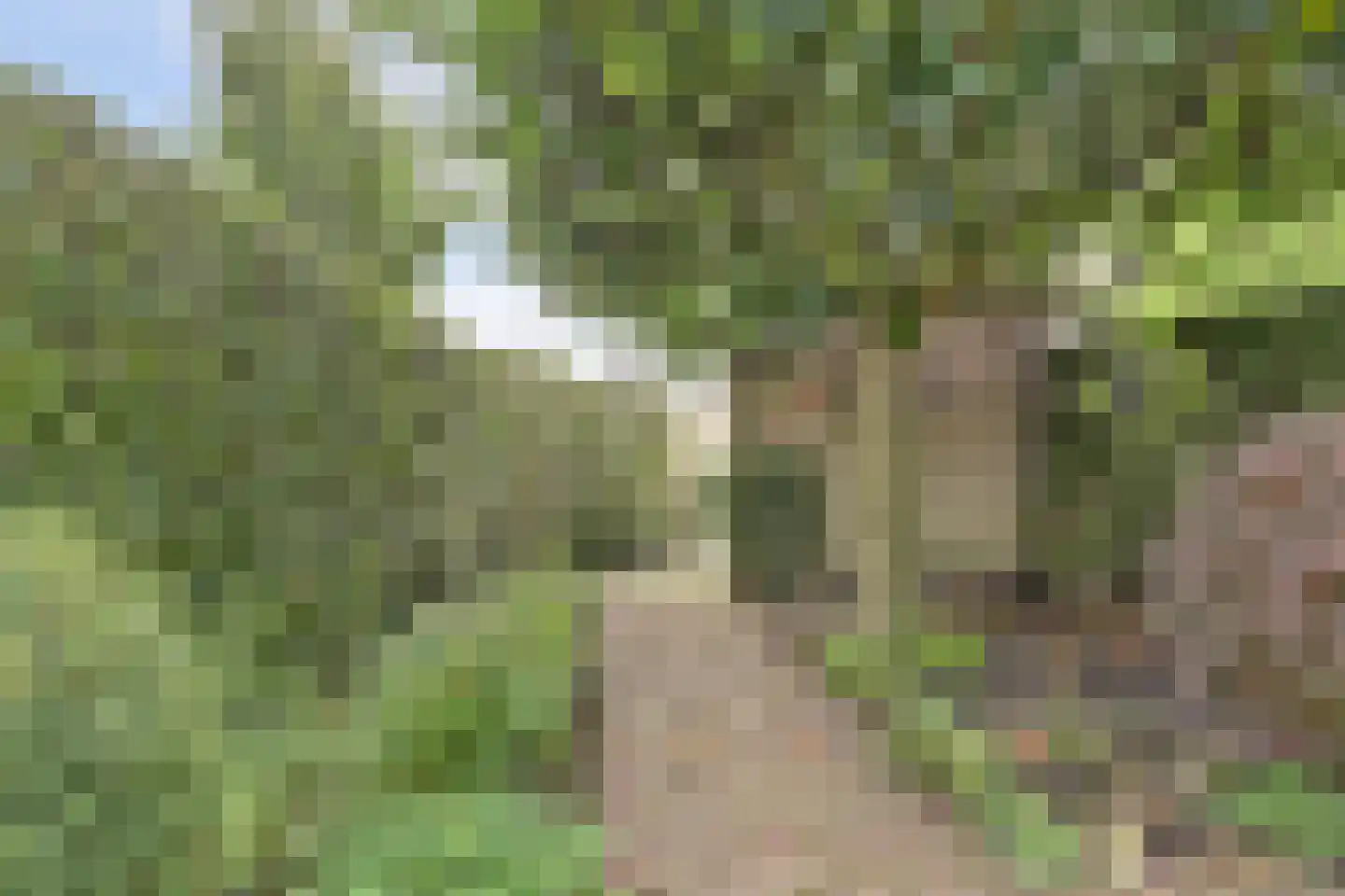 Zuidplaslaan 132 Waddinxveen thumbnail 32