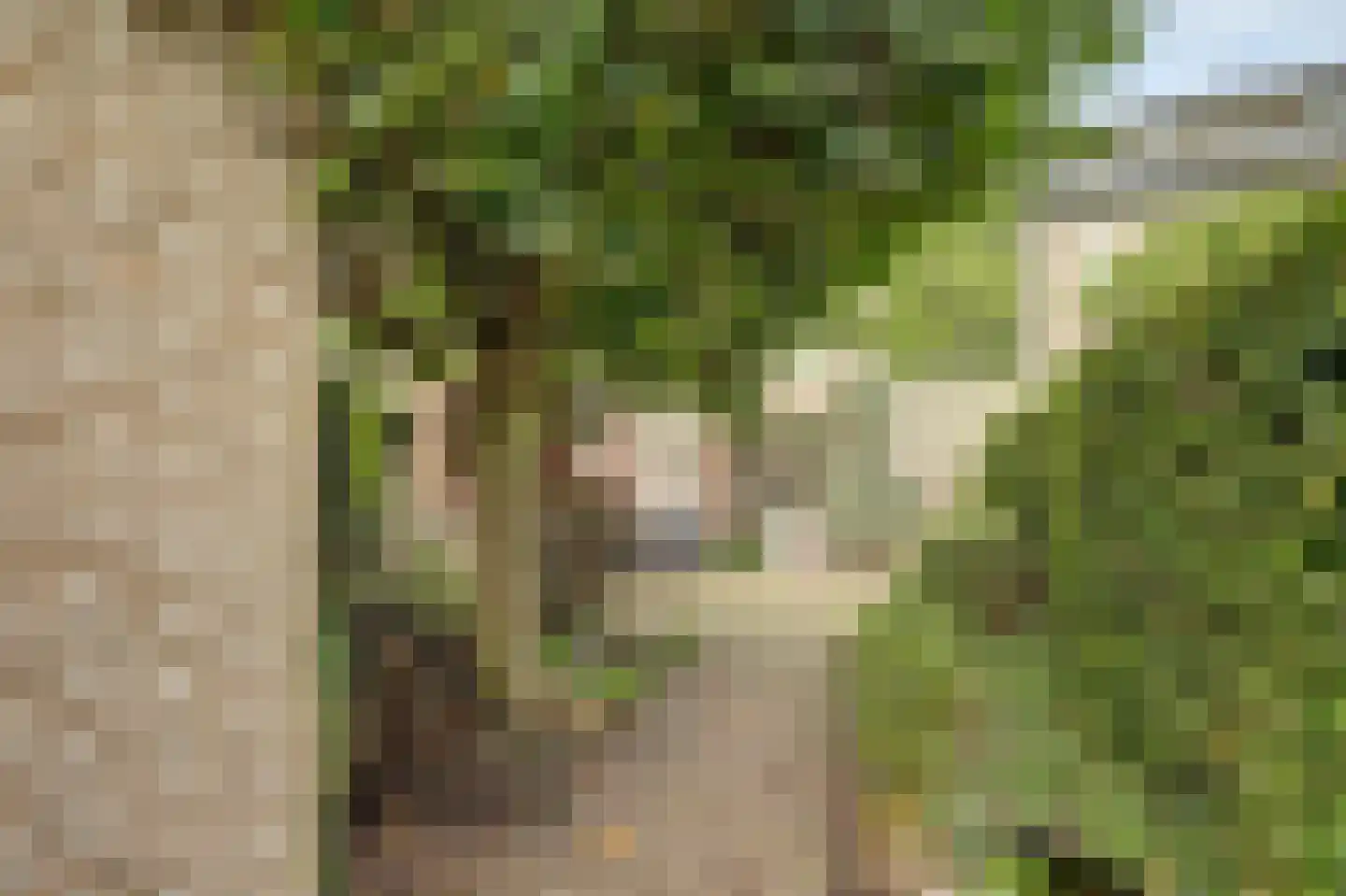 Zuidplaslaan 132 Waddinxveen thumbnail 33