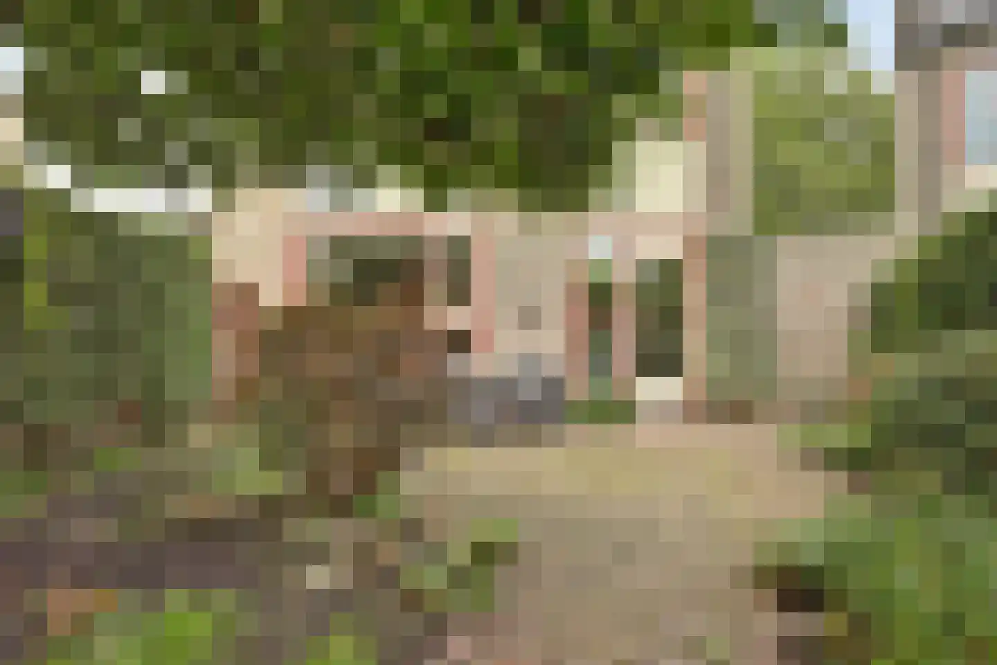 Zuidplaslaan 132 Waddinxveen thumbnail 34