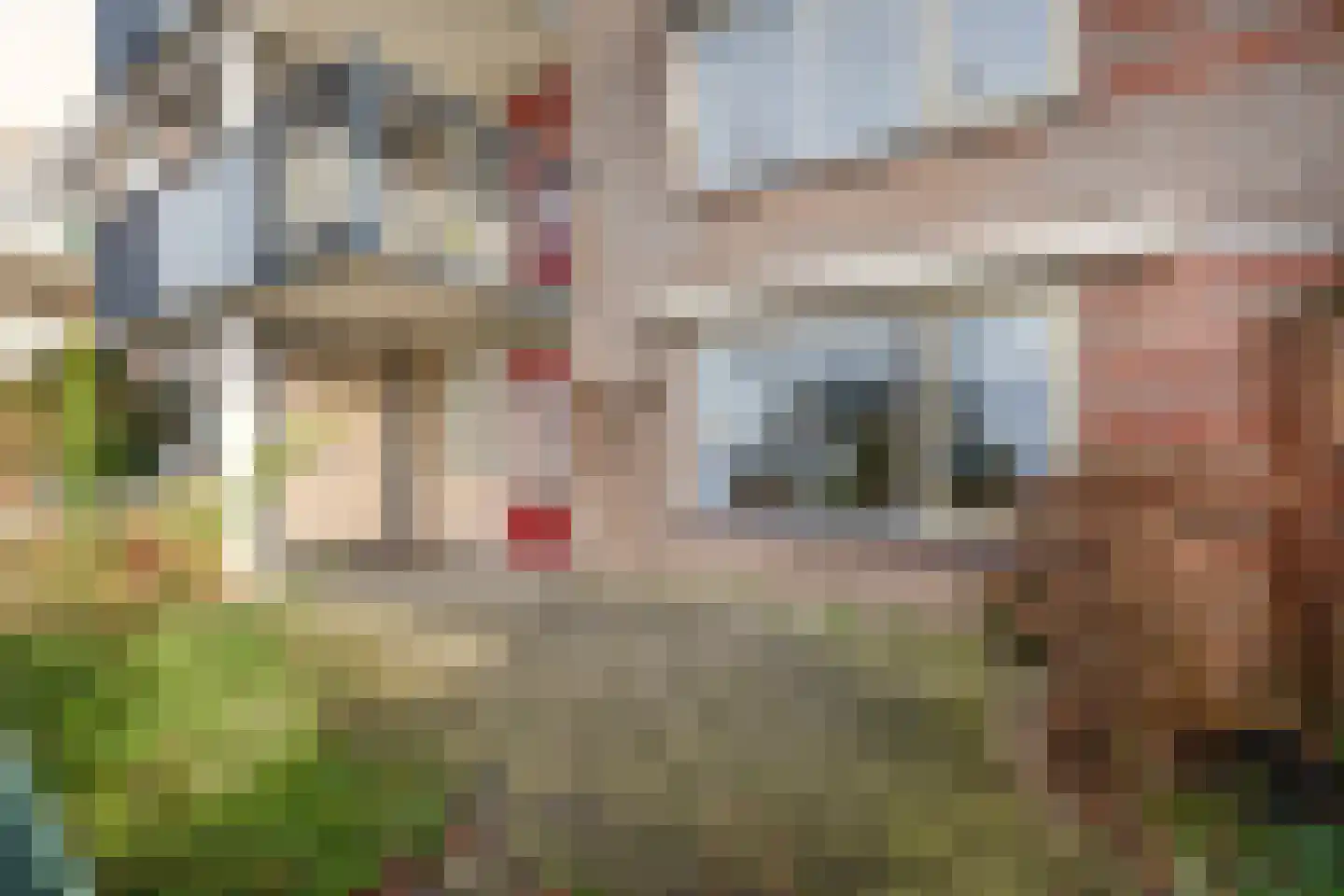 Zuidplaslaan 401 Waddinxveen thumbnail 16