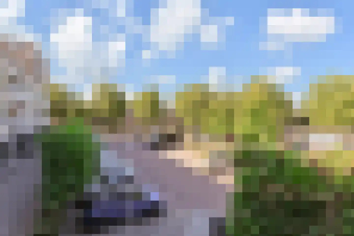 Zuidplaslaan 450 Waddinxveen thumbnail 24