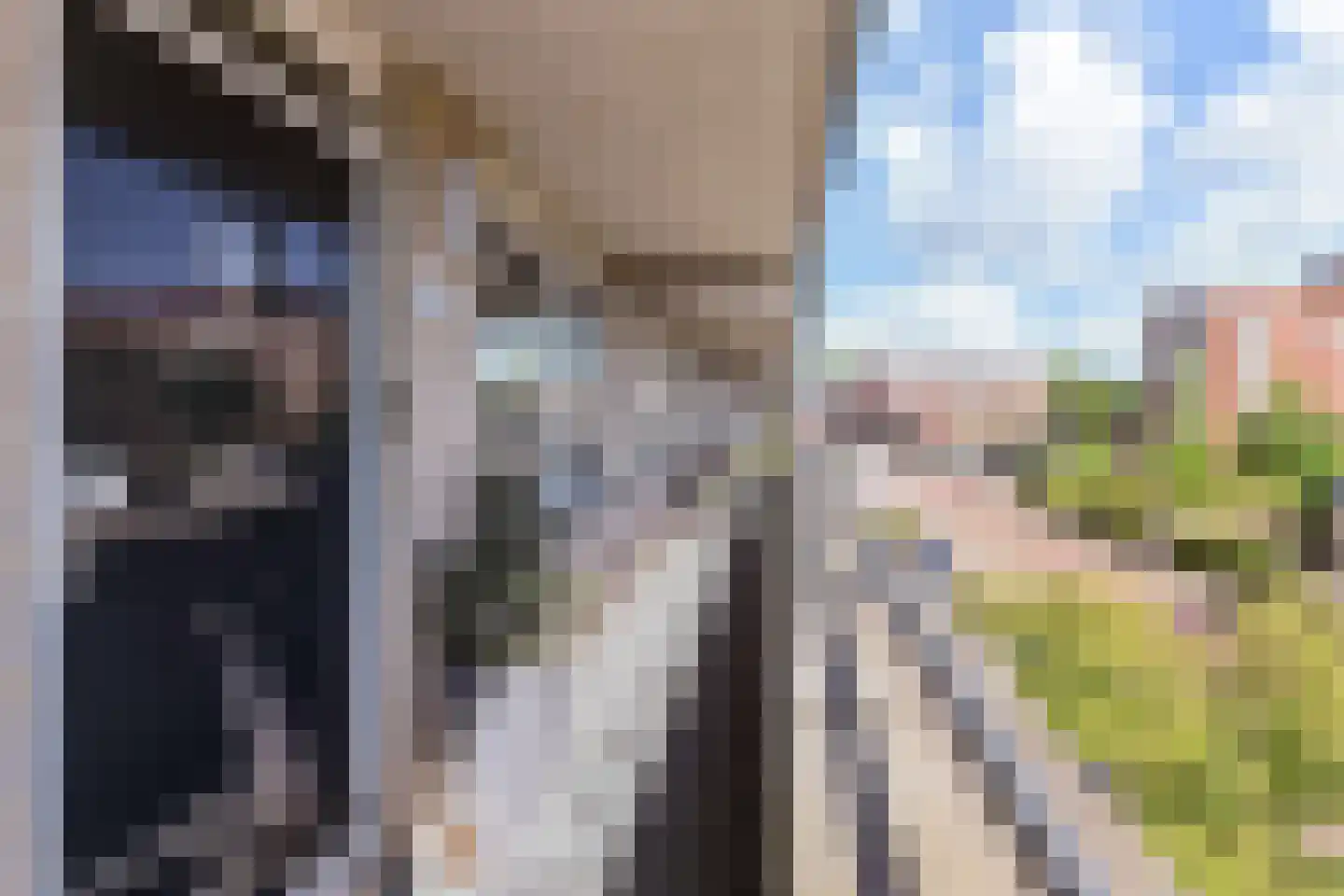 Zuidplaslaan 450 Waddinxveen thumbnail 8