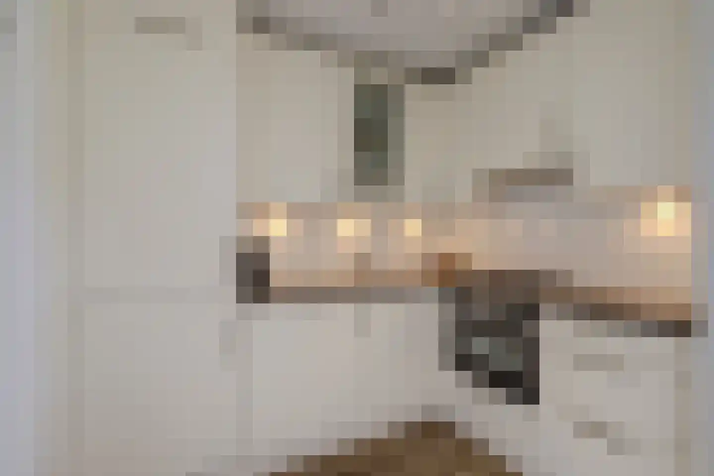 Zuidplaslaan 456 Waddinxveen thumbnail 19