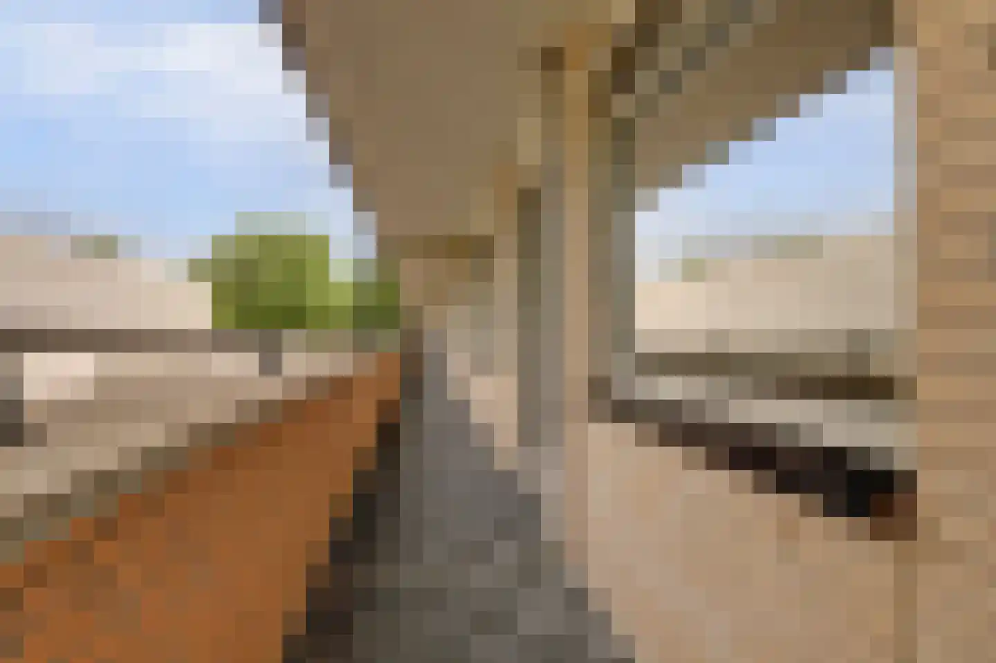 Zuidplaslaan 456 Waddinxveen thumbnail 29