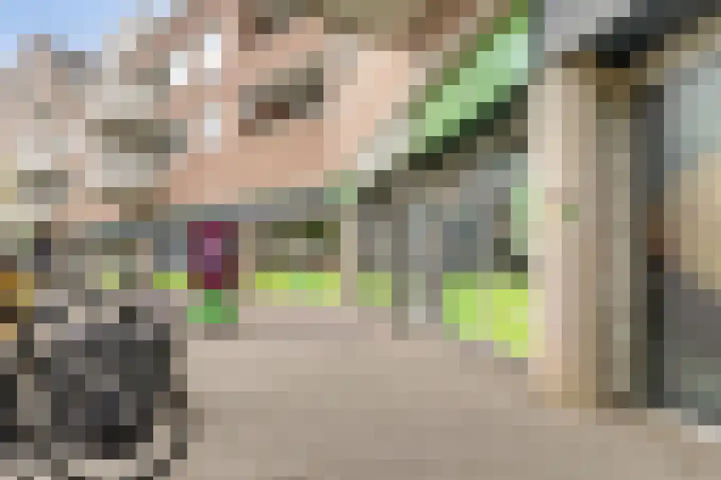 Zuidplaslaan 456 Waddinxveen thumbnail 34
