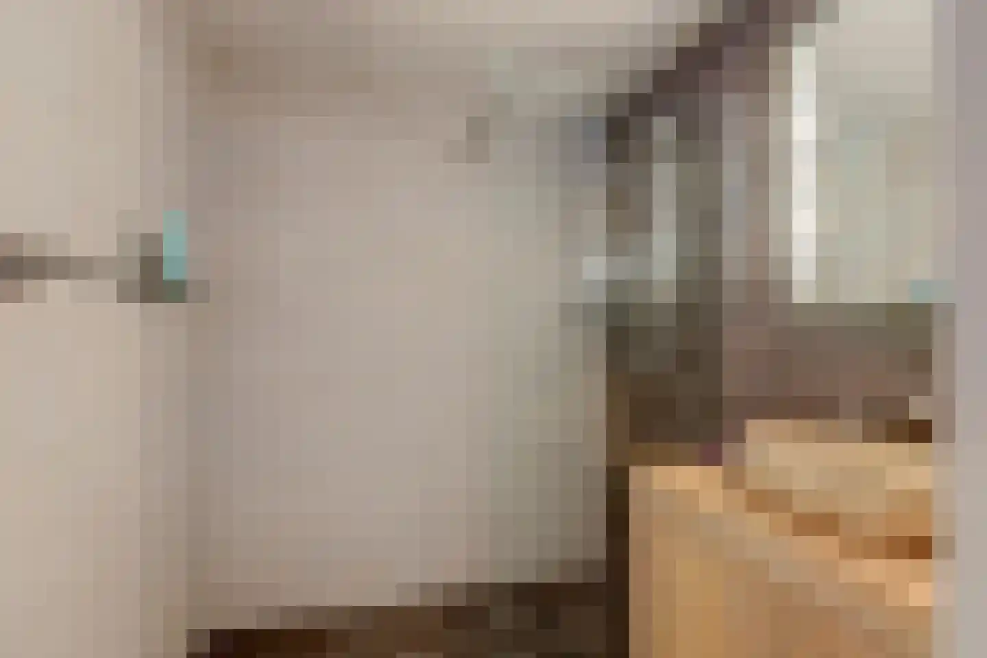 Zuidplaslaan 456 Waddinxveen thumbnail 4