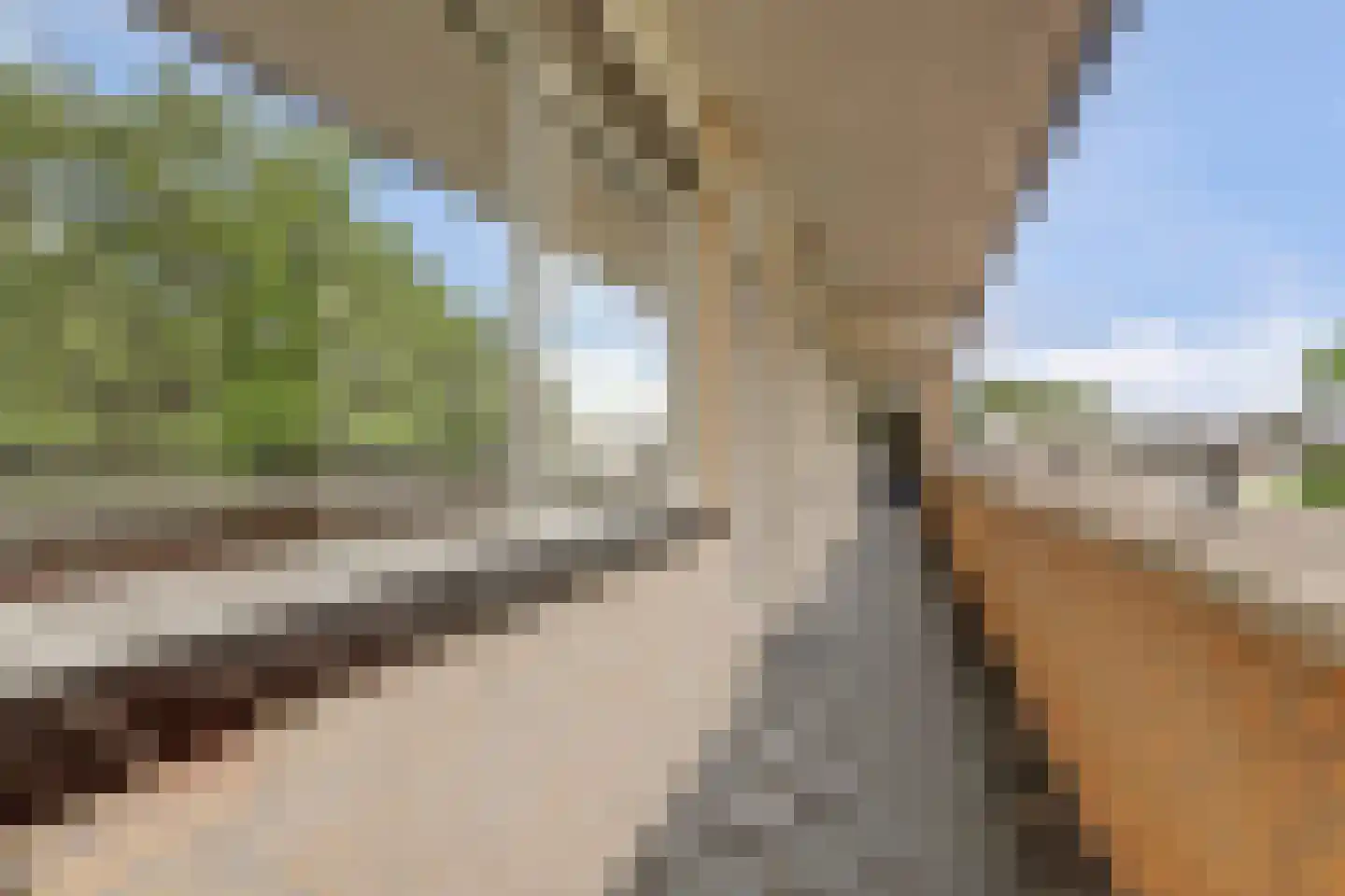 Zuidplaslaan 456 Waddinxveen thumbnail 7