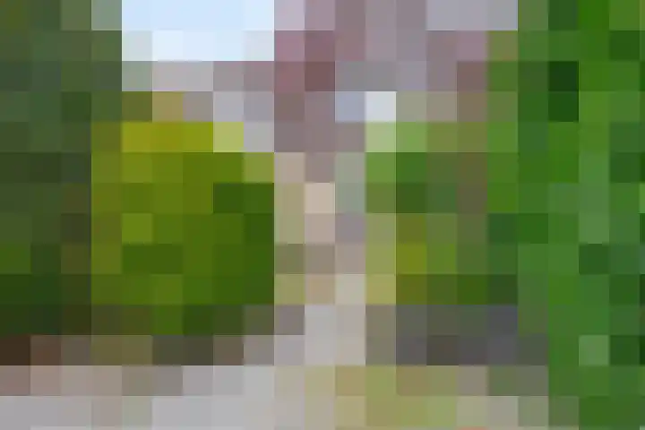 Zuidplaslaan 46 Waddinxveen thumbnail 12