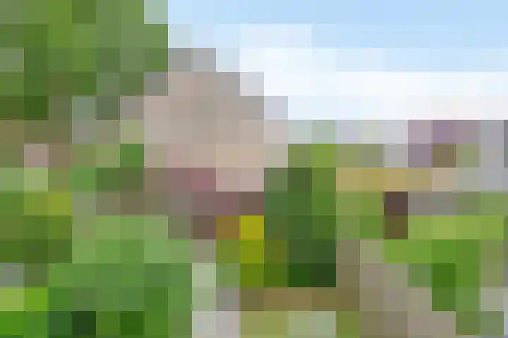 Zuidplaslaan 46 Waddinxveen thumbnail 13