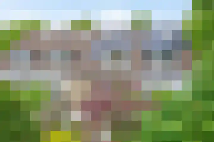 Zuidplaslaan 46 Waddinxveen thumbnail 14