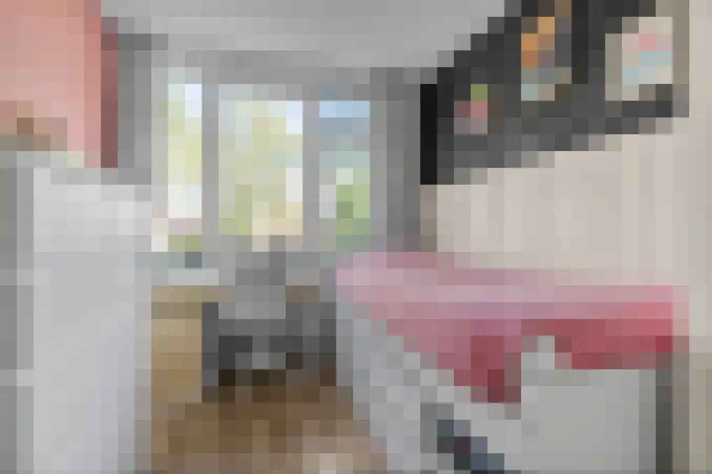 Zuidplaslaan 48 Waddinxveen thumbnail 22