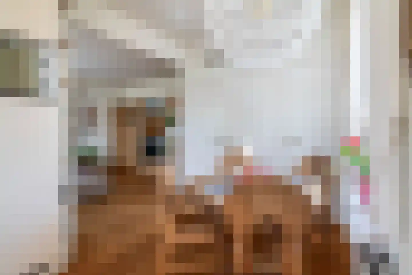 Zuidplasweg 7 Zevenhuizen thumbnail 10
