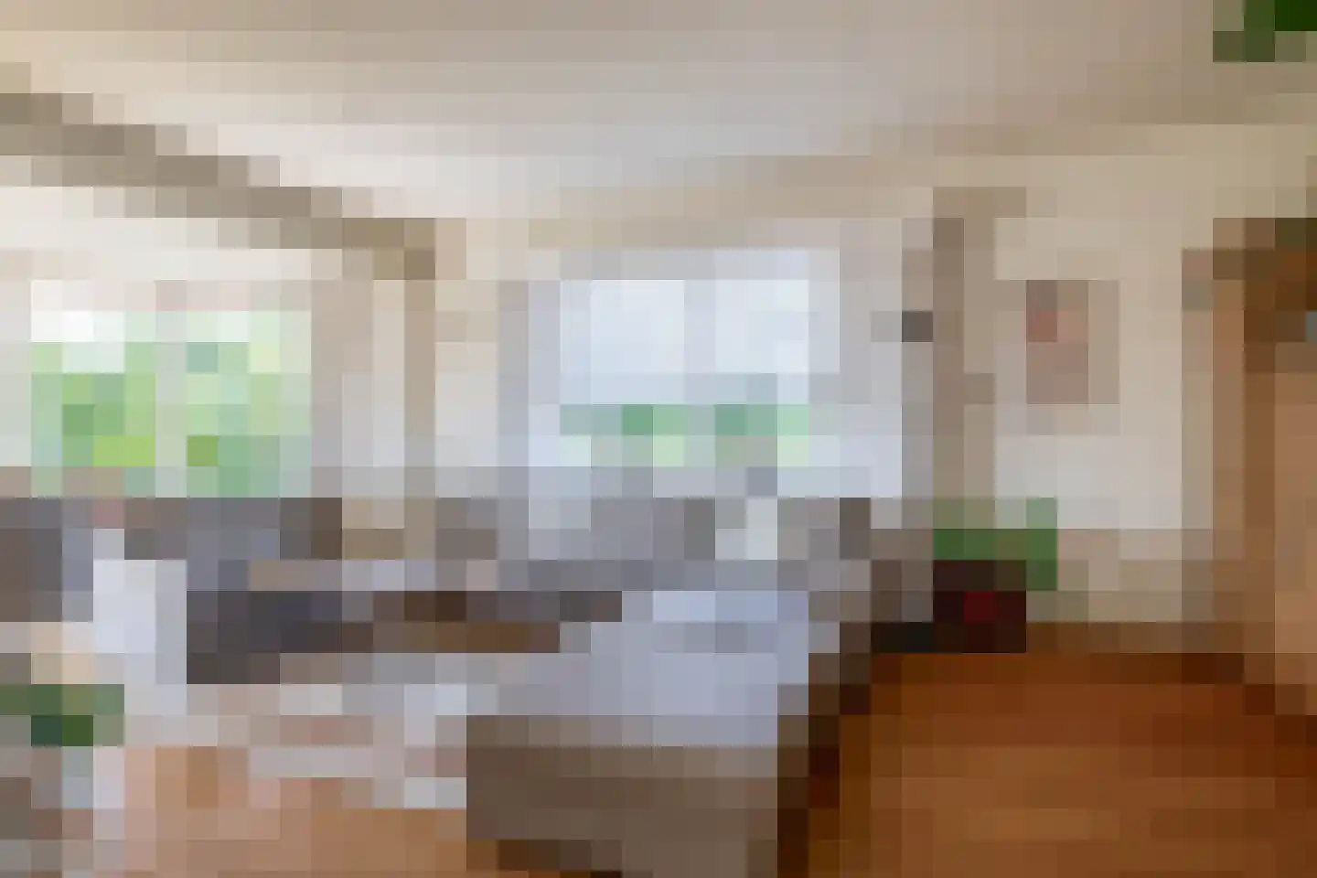 Zuidplasweg 7 Zevenhuizen thumbnail 12