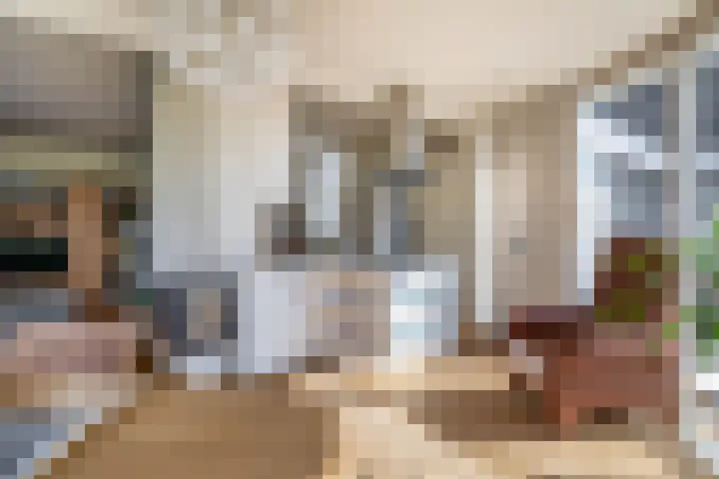 Zuidplasweg 7 Zevenhuizen thumbnail 14