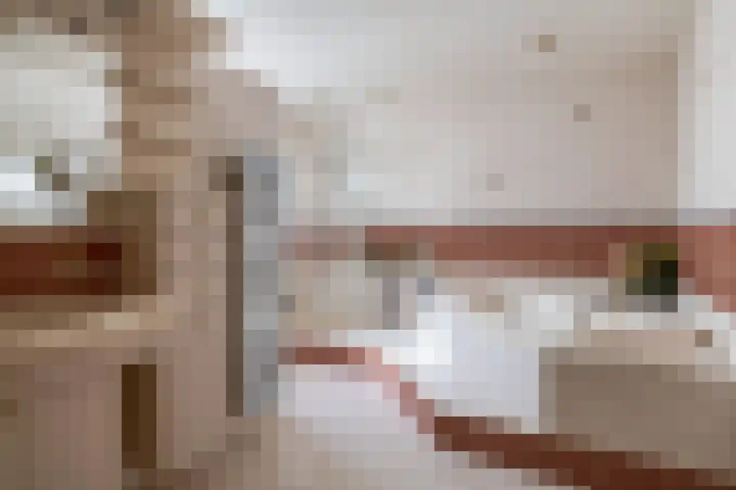 Zuidplasweg 7 Zevenhuizen thumbnail 18