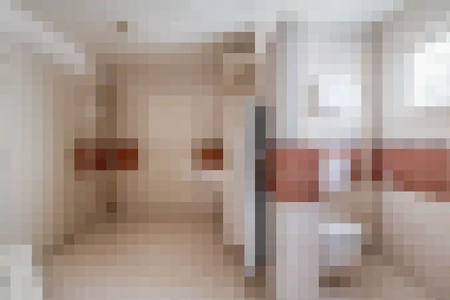 Zuidplasweg 7 Zevenhuizen thumbnail 20